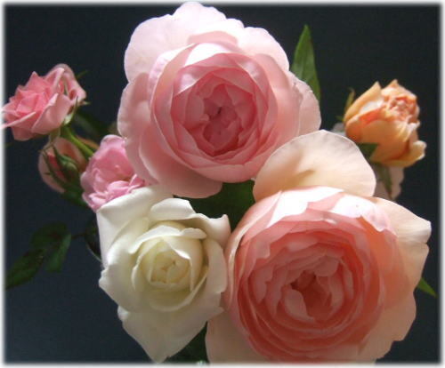 bouquet3.jpg