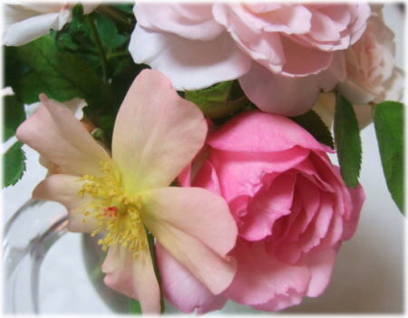 bouquet3.jpg