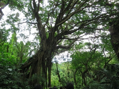 okinawa4.jpg