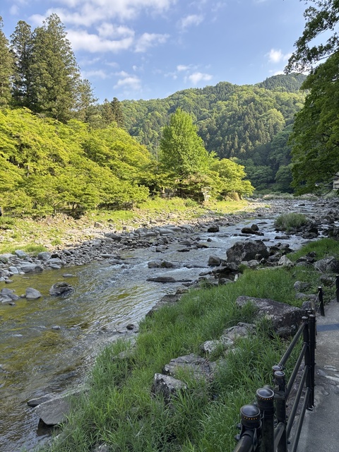 IMG_3352.jpeg